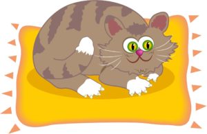cat