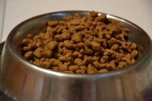 cat food