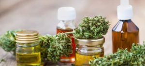cannabis oil