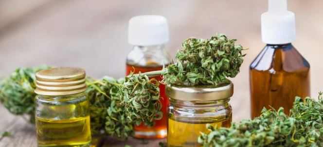 cannabis oil